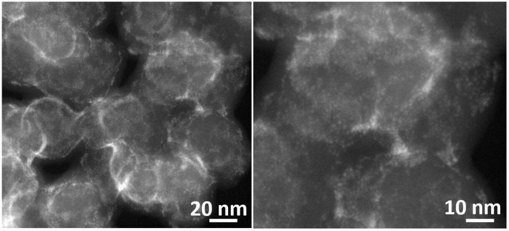 Ultrafine and ligand-free precious metal (Ru, Ag, Au, Rh and Pd) nanoclusters supported on phosphorus-doped carbon